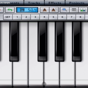 Hawaiian Guitar Yamaha PSR 550 Music Studio Samples